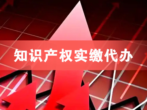 密山知识产权实缴资本代办